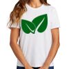 Ladies Essential T Shirt Thumbnail