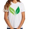 Ladies Essential T Shirt Thumbnail