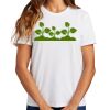 Ladies Essential T Shirt Thumbnail