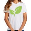 Ladies Essential T Shirt Thumbnail