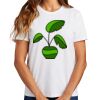 Ladies Essential T Shirt Thumbnail