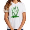 Ladies Essential T Shirt Thumbnail