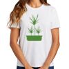 Ladies Essential T Shirt Thumbnail