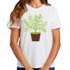 Ladies Essential T Shirt Thumbnail