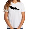 Ladies Essential T Shirt Thumbnail