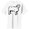 Essential T Shirt Thumbnail