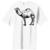 Essential T Shirt Thumbnail