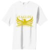 Essential T Shirt Thumbnail