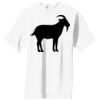 Essential T Shirt Thumbnail