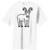 Essential T Shirt Thumbnail