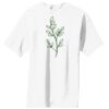 Essential T Shirt Thumbnail