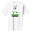 Essential T Shirt Thumbnail