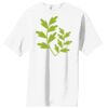 Essential T Shirt Thumbnail