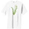 Essential T Shirt Thumbnail