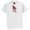 Tagless® 100% Cotton T Shirt Thumbnail