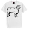 Tagless® 100% Cotton T Shirt Thumbnail