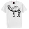 Tagless® 100% Cotton T Shirt Thumbnail