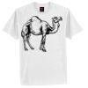 Tagless® 100% Cotton T Shirt Thumbnail