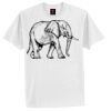 Tagless® 100% Cotton T Shirt Thumbnail