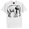 Tagless® 100% Cotton T Shirt Thumbnail