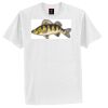 Tagless® 100% Cotton T Shirt Thumbnail