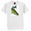 Tagless® 100% Cotton T Shirt Thumbnail