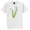 Tagless® 100% Cotton T Shirt Thumbnail