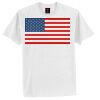 Tagless® 100% Cotton T Shirt Thumbnail