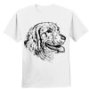 Nano T® Cotton T Shirt Thumbnail