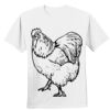 Nano T® Cotton T Shirt Thumbnail