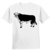 Nano T® Cotton T Shirt Thumbnail
