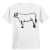 Nano T® Cotton T Shirt Thumbnail