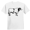 Nano T® Cotton T Shirt Thumbnail