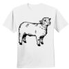Nano T® Cotton T Shirt Thumbnail