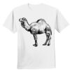 Nano T® Cotton T Shirt Thumbnail