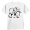 Nano T® Cotton T Shirt Thumbnail