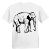 Nano T® Cotton T Shirt Thumbnail