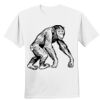 Nano T® Cotton T Shirt Thumbnail