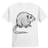 Nano T® Cotton T Shirt Thumbnail