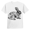 Nano T® Cotton T Shirt Thumbnail