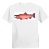 Nano T® Cotton T Shirt Thumbnail