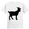 Nano T® Cotton T Shirt Thumbnail