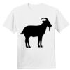Nano T® Cotton T Shirt Thumbnail