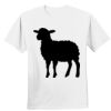 Nano T® Cotton T Shirt Thumbnail