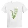 Nano T® Cotton T Shirt Thumbnail