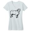 Juniors Concert V Neck Tee Thumbnail