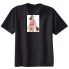 Ladies Nano T® Cotton T Shirt Thumbnail