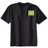 Ladies Nano T® Cotton T Shirt Thumbnail