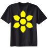 Ladies Nano T® Cotton T Shirt Thumbnail