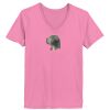 Ladies ComfortSoft® V Neck T Shirt Thumbnail
